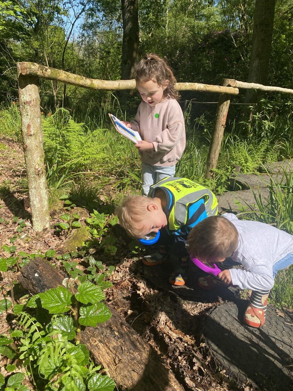 Children exploring woodland plants with magnifying glasses and a clipboard
